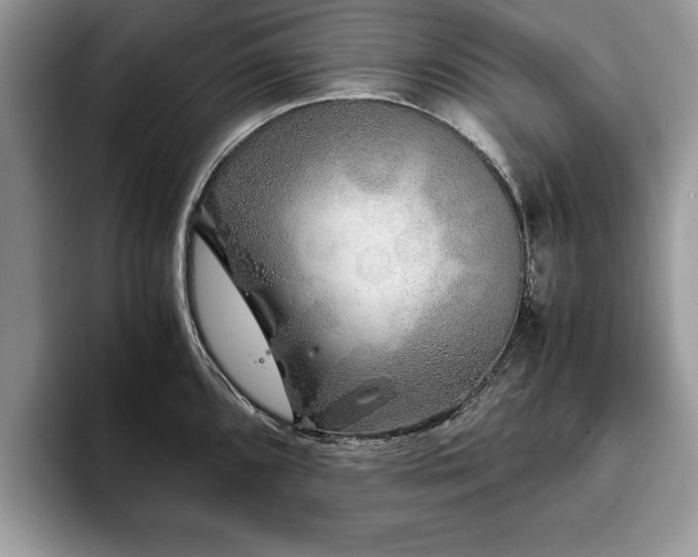 X0000094081096200710191417