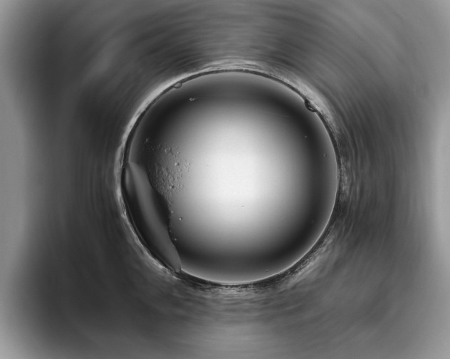 X0000094081102200710191417