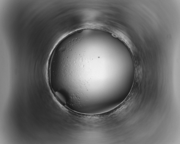 X0000094081103200710191417