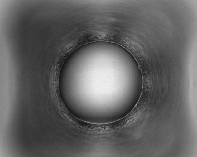 X0000094081105200710191416