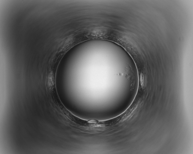 X0000094081107200710191416