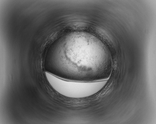 X0000094081108200710191416