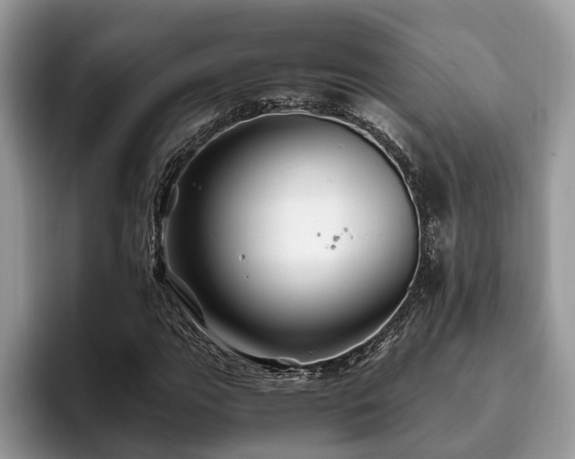 X0000094081111200710191416