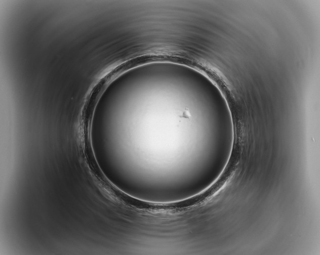 X0000094081114200710191416