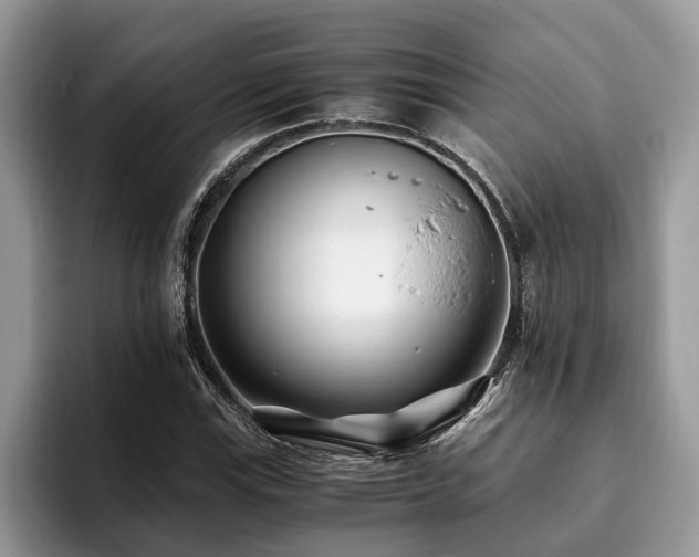 X0000094081115200710191416