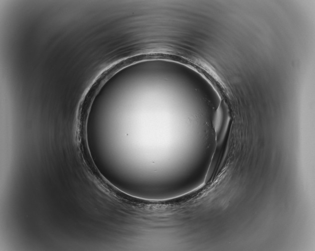 X0000094081116200710191416