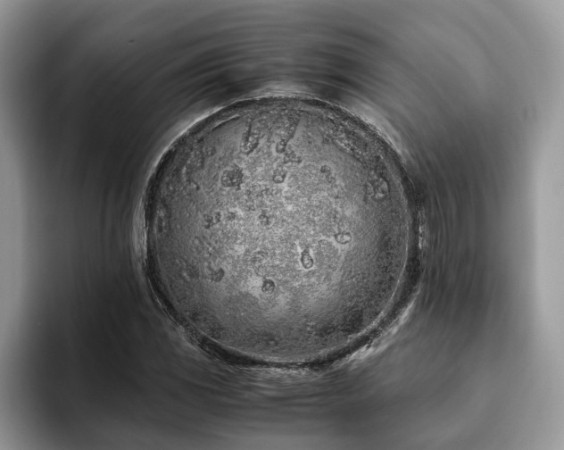 X0000094081117200710191416