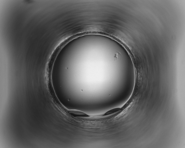 X0000094081119200710191416