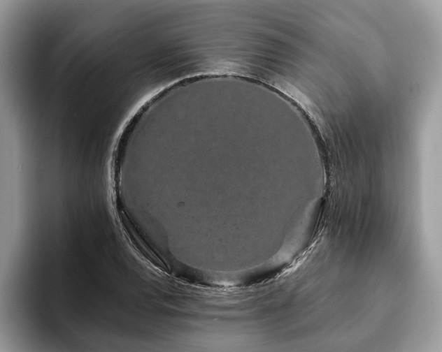 X0000094081120200710191416