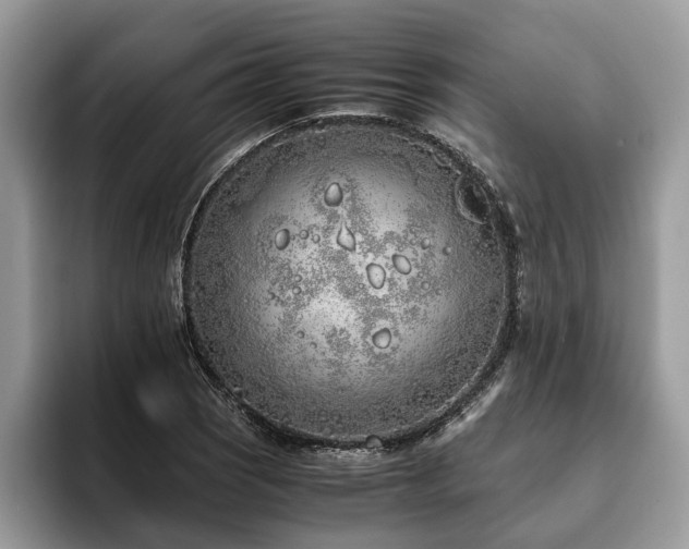 X0000094081121200710191416