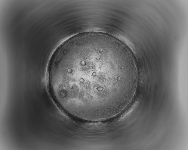 X0000094081125200710191416