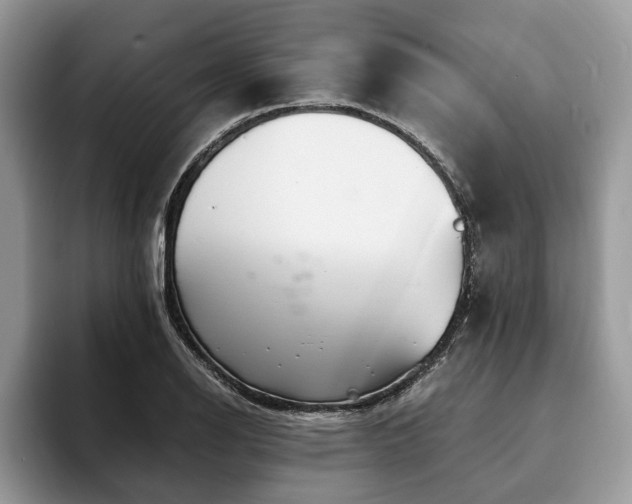 X0000094081126200710191416