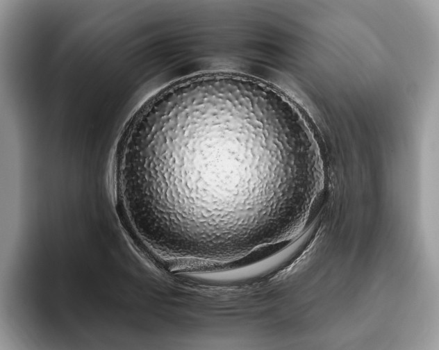 X0000094081127200710191416