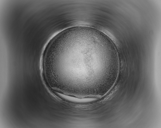 X0000094081128200710191416