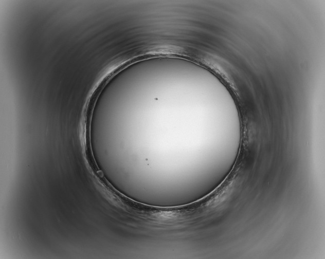 X0000094081130200710191416