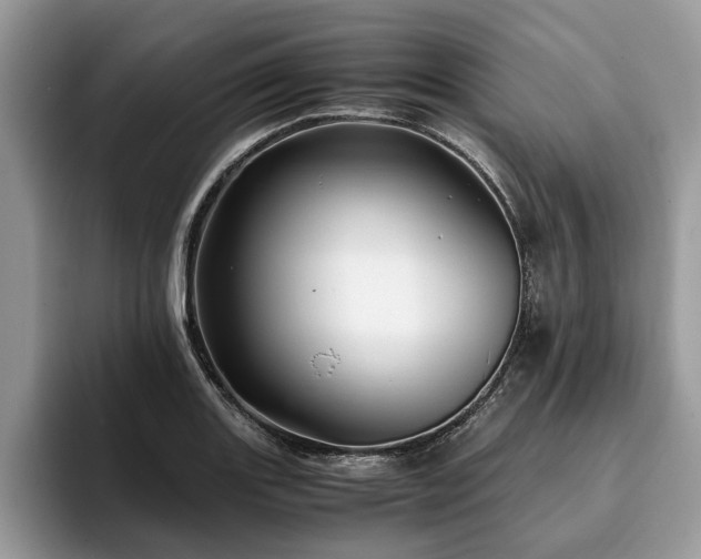 X0000094081131200710191416