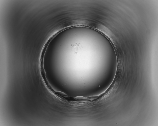 X0000094081135200710191416