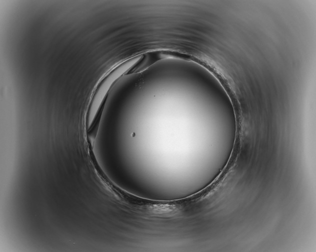 X0000094081137200710191417