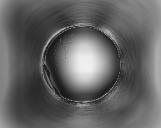 X0000094081140200710191417