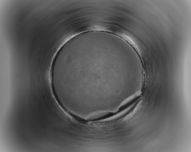 X0000094081141200710191417