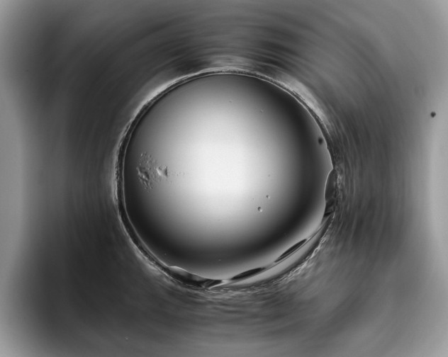 X0000094081143200710191417