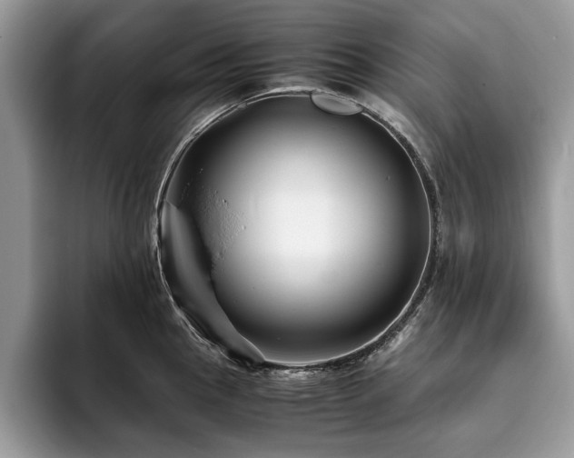 X0000094081145200710191417