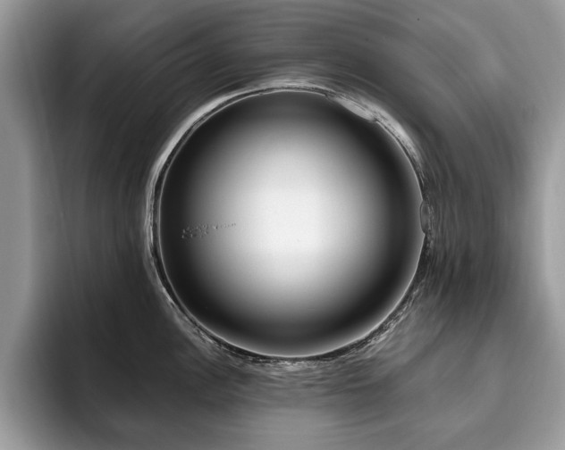 X0000094081148200710191417