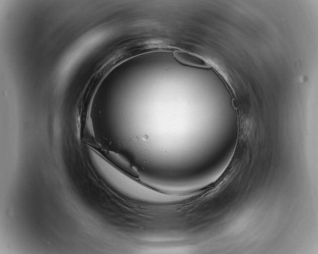 X0000094081151200710191417