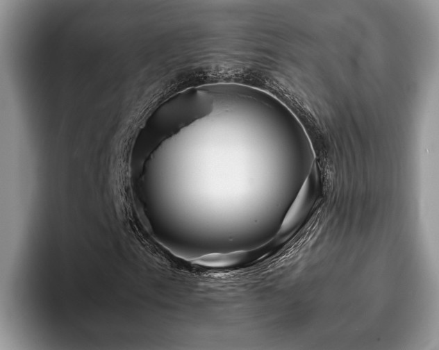 X0000094081153200710191416