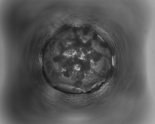 X0000094081155200710191416