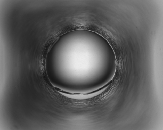 X0000094081156200710191416