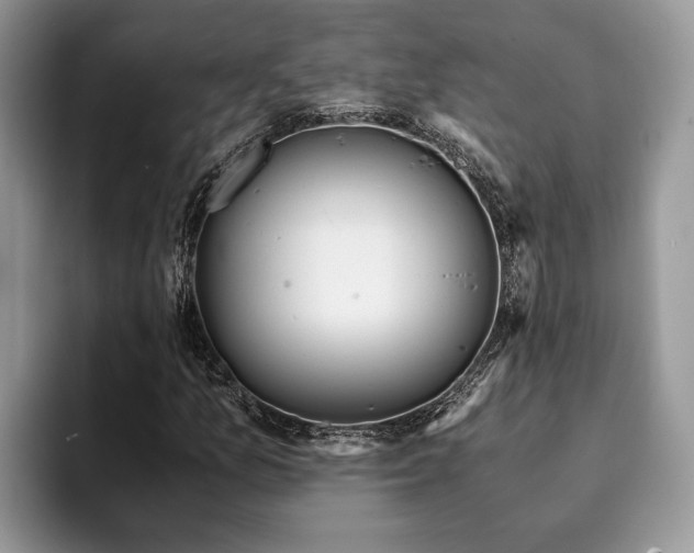 X0000094081157200710191416