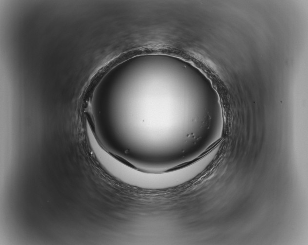 X0000094081160200710191416