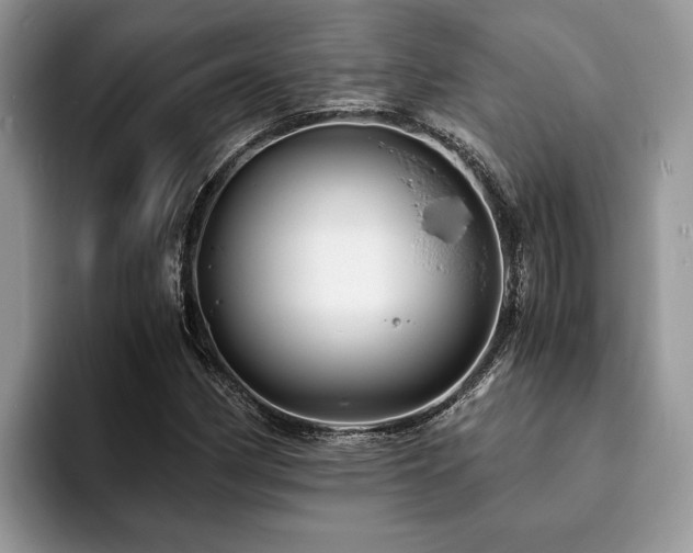 X0000094081162200710191416