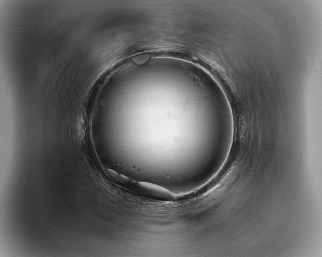 X0000094081163200710191416