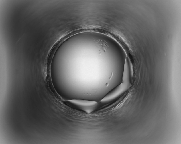 X0000094081165200710191416