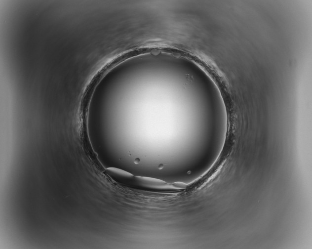 X0000094081167200710191416