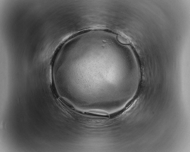 X0000094081171200710191416