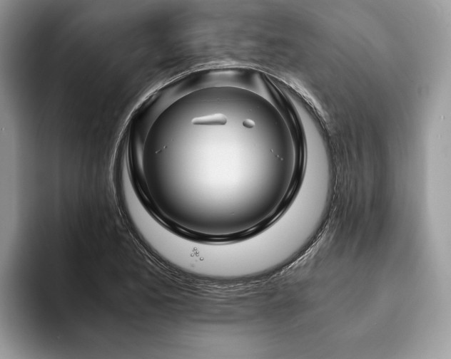 X0000094081173200710191416