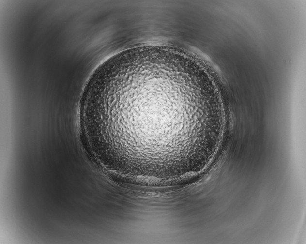 X0000094081174200710191416