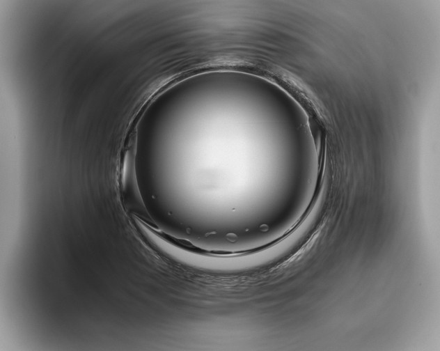 X0000094081177200710191416