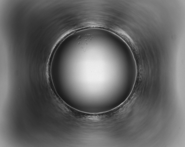 X0000094081182200710191416