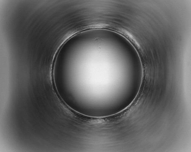 X0000094081186200710191416