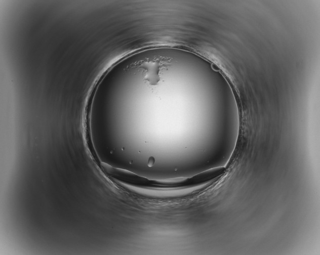 X0000094081187200710191416