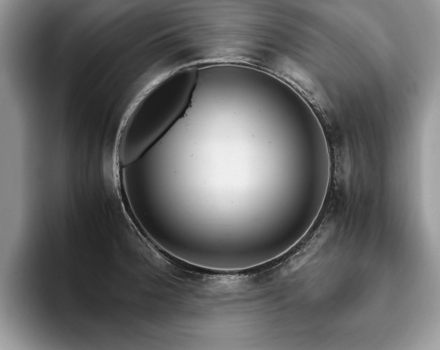 X0000094081188200710191416