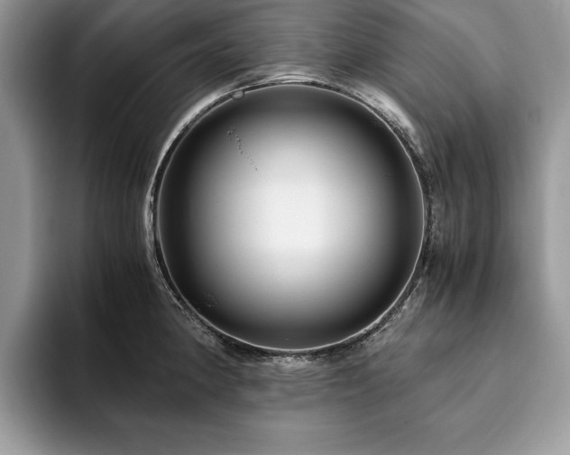 X0000094081190200710191416