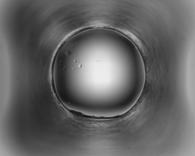 X0000094081191200710191416