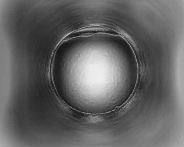 X0000094081194200710191416