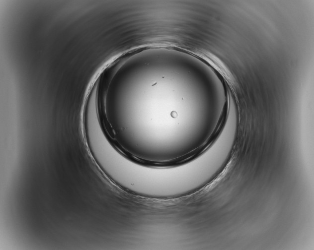 X0000094081196200710191416