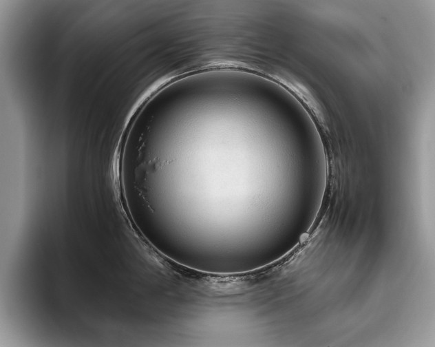 X0000094081198200710191416